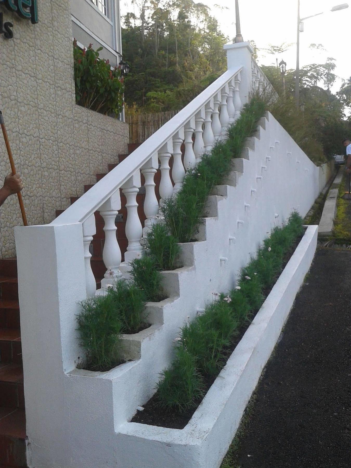 Bird'S Nests Hotel Tanah Rata Zewnętrze zdjęcie